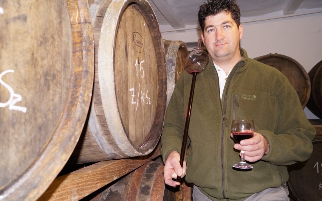 Balog Árpád Borászata