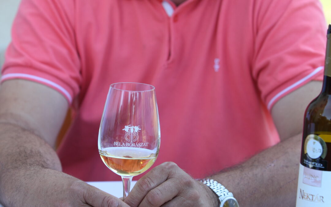 Béla Borászat